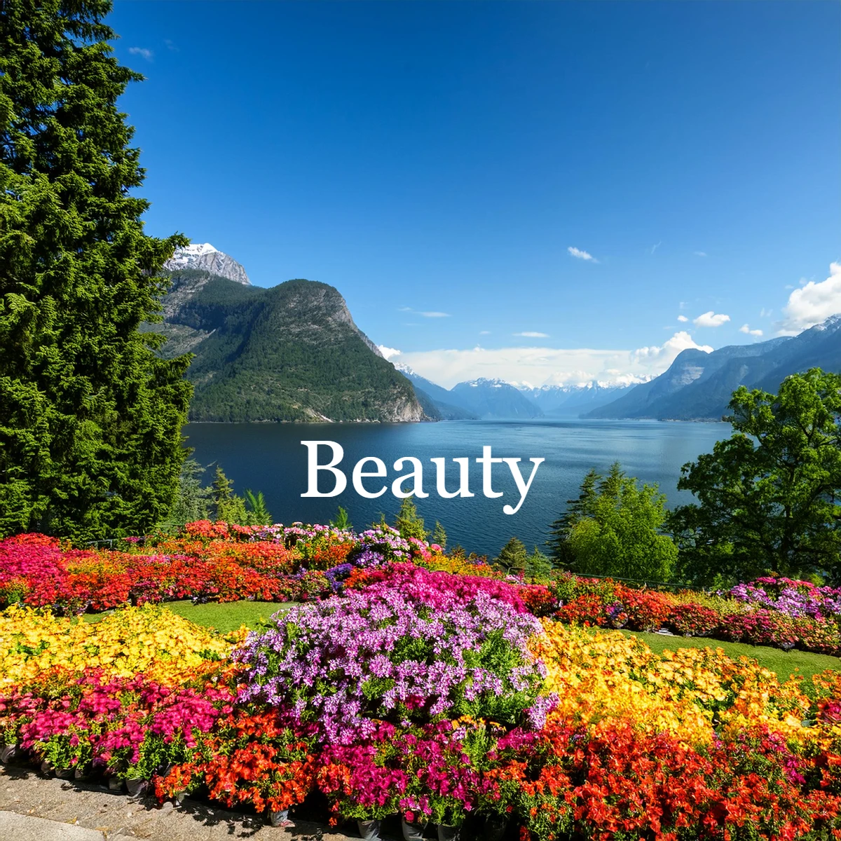Beauty
