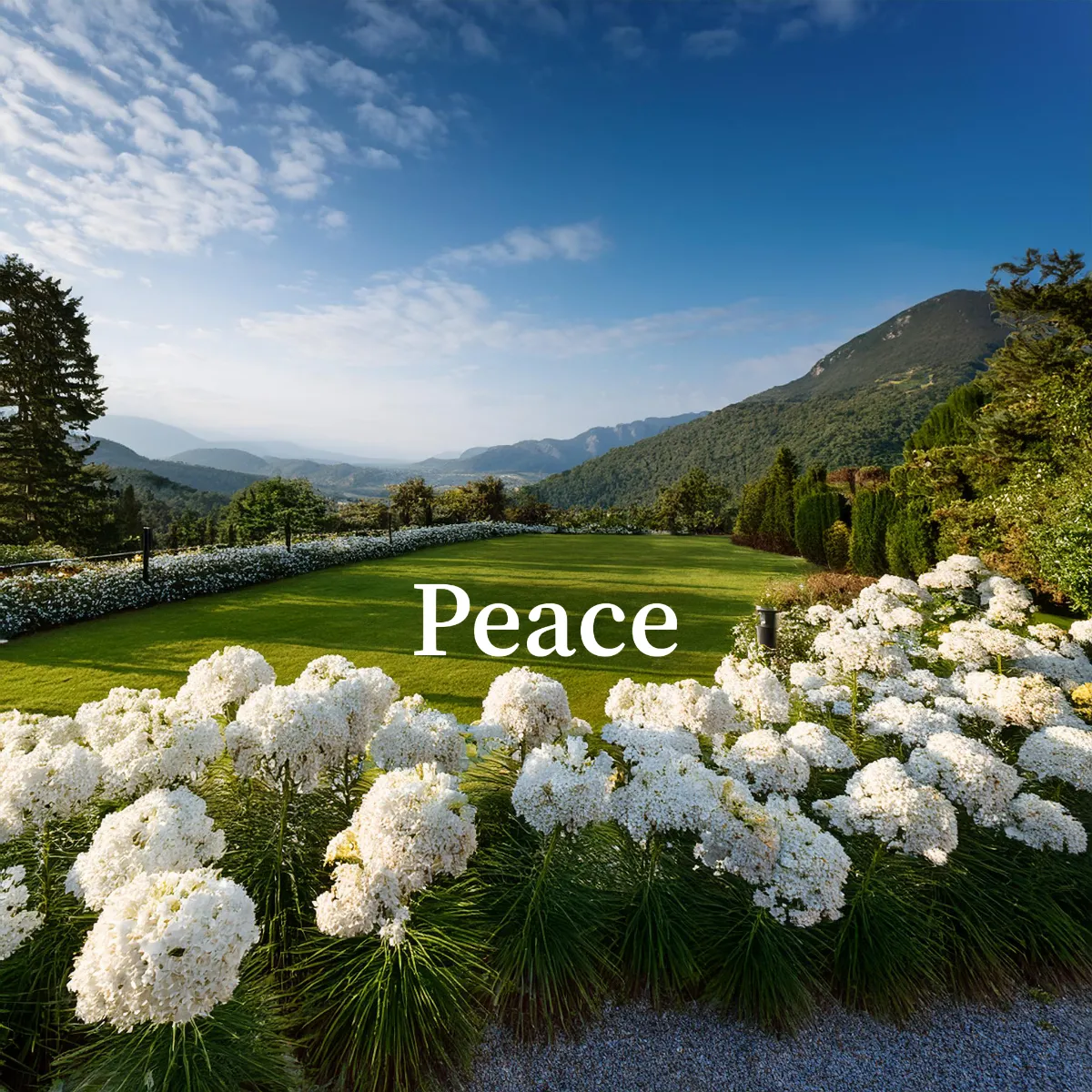 Peace