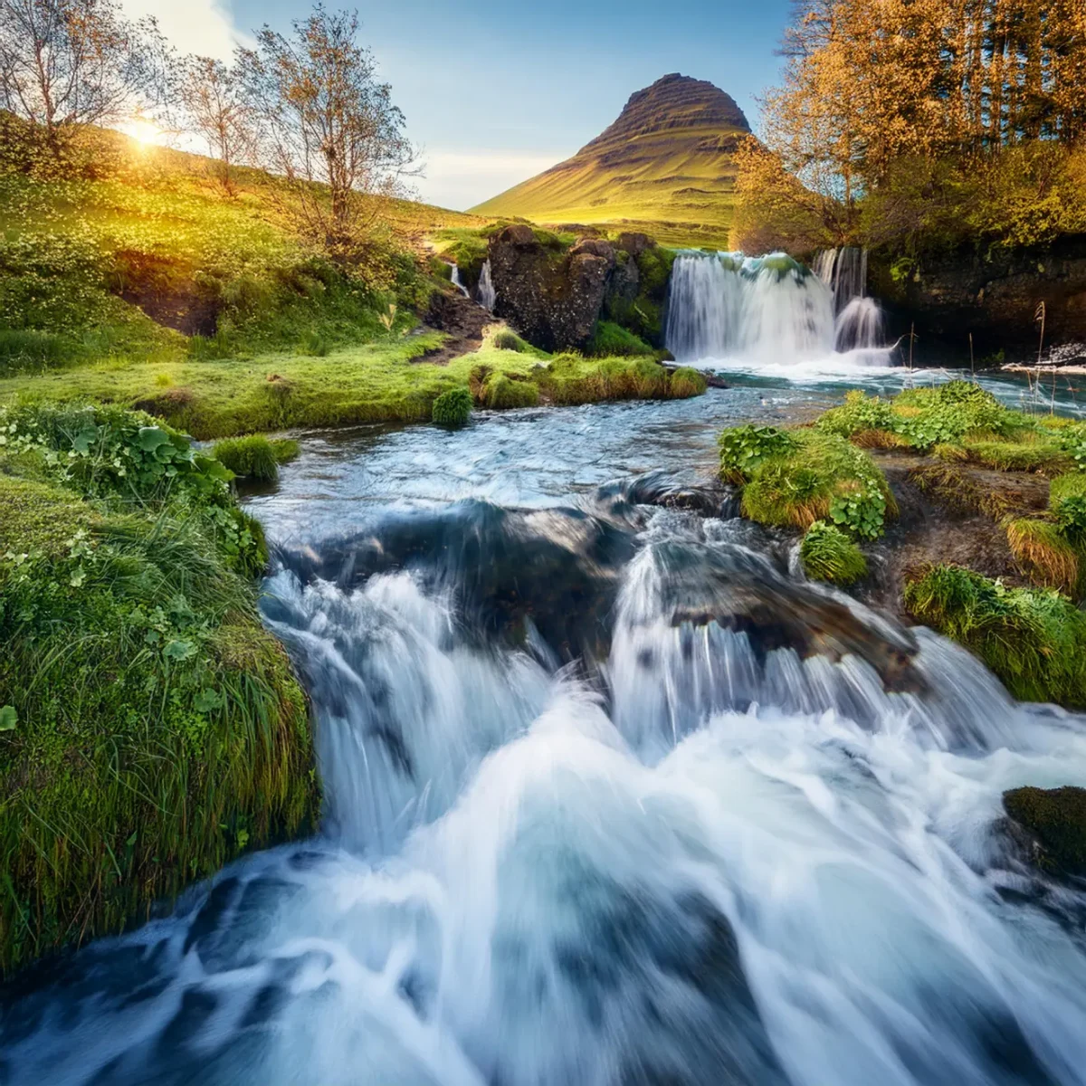 A beautiful flowing stream in the wilderness